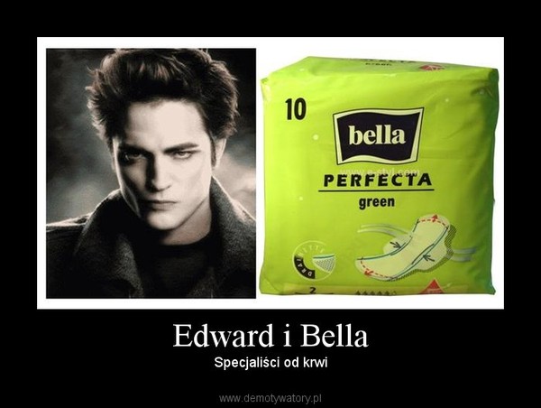 Edward i Bella – Specjaliści od krwi 