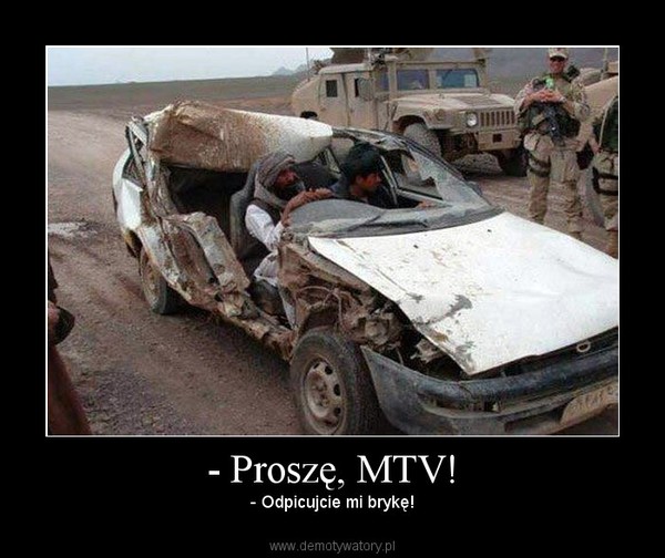 - Proszę, MTV!