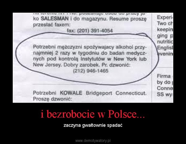 i bezrobocie w Polsce... – zaczyna gwałtownie spadać 