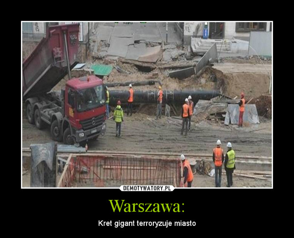 Warszawa: – Kret gigant terroryzuje miasto 