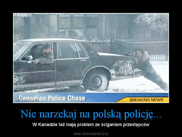 Nie narzekaj na polską policję... – W Kanadzie też mają problem ze ściganiem przestępców 