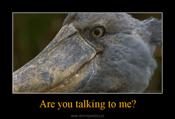 Are you talking to me? –  