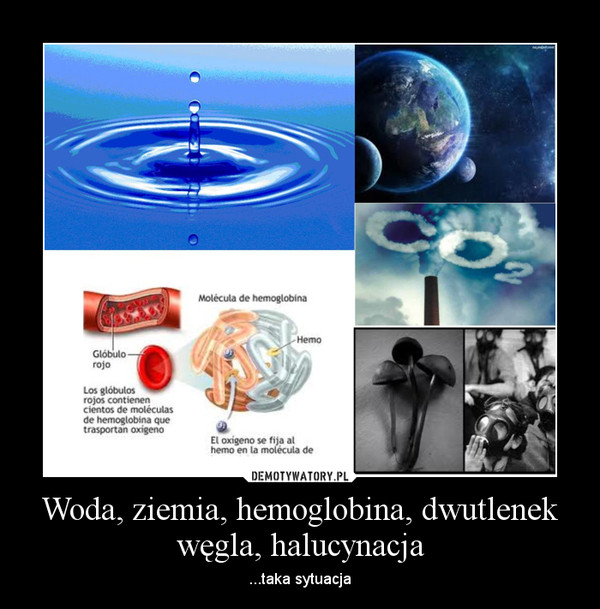 Woda, ziemia, hemoglobina, dwutlenek węgla, halucynacja