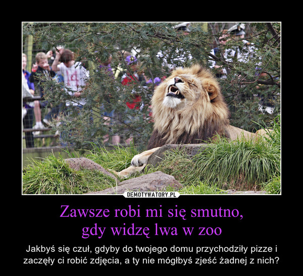 Zawsze robi mi się smutno,gdy widzę lwa w zoo – Jakbyś się czuł, gdyby do twojego domu przychodziły pizze i zaczęły ci robić zdjęcia, a ty nie mógłbyś zjeść żadnej z nich? 