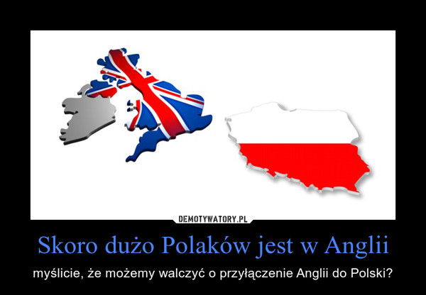 Skoro dużo Polaków jest w Anglii – myślicie, że możemy walczyć o przyłączenie Anglii do Polski? 