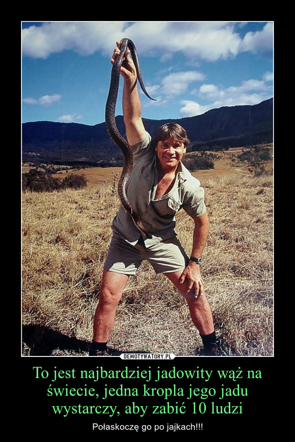 To jest najbardziej jadowity wąż na świecie, jedna kropla jego jadu wystarczy, aby zabić 10 ludzi – Połaskoczę go po jajkach!!! 