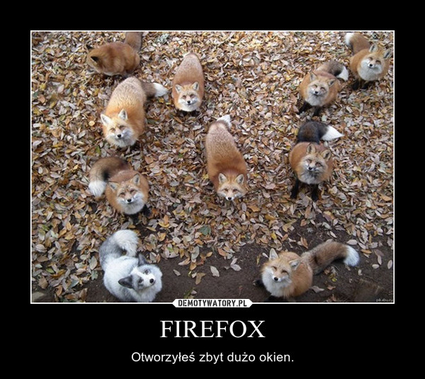 FIREFOX – Otworzyłeś zbyt dużo okien. 