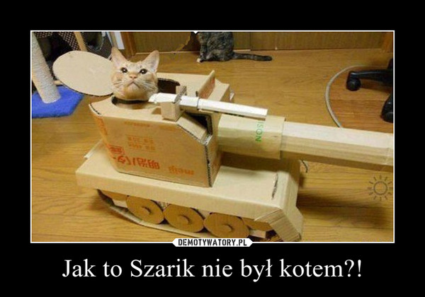 Jak to Szarik nie był kotem?! –  