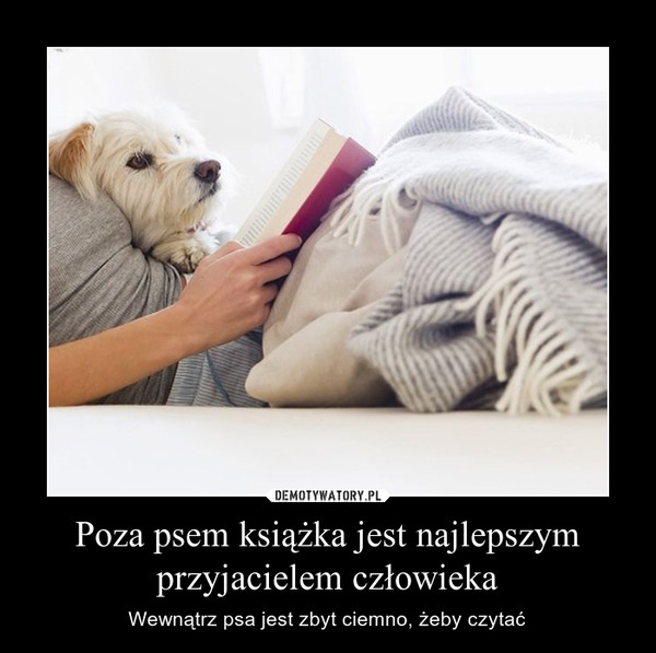 Poza psem książka jest najlepszym przyjacielem człowieka – Wewnątrz psa jest zbyt ciemno, żeby czytać 