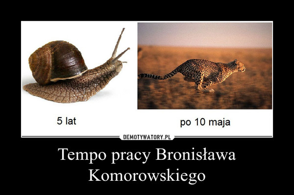 Tempo pracy Bronisława Komorowskiego –  