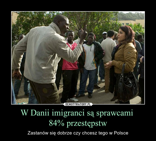 W Danii imigranci są sprawcami 84% przestępstw – Zastanów się dobrze czy chcesz tego w Polsce 