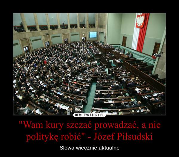 "Wam kury szczać prowadzać, a nie politykę robić" - Józef Piłsudski