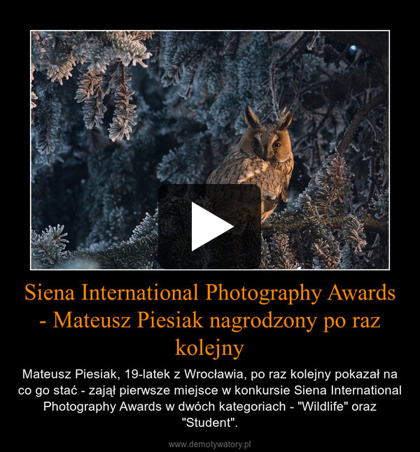 Siena International Photography Awards - Mateusz Piesiak nagrodzony po raz kolejny – Mateusz Piesiak, 19-latek z Wrocławia, po raz kolejny pokazał na co go stać - zajął pierwsze miejsce w konkursie Siena International Photography Awards w dwóch kategoriach - "Wildlife" oraz "Student". 