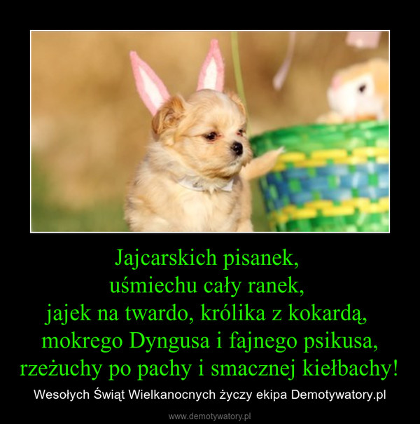 Jajcarskich pisanek, uśmiechu cały ranek, jajek na twardo, królika z kokardą, mokrego Dyngusa i fajnego psikusa,rzeżuchy po pachy i smacznej kiełbachy! – Wesołych Świąt Wielkanocnych życzy ekipa Demotywatory.pl 