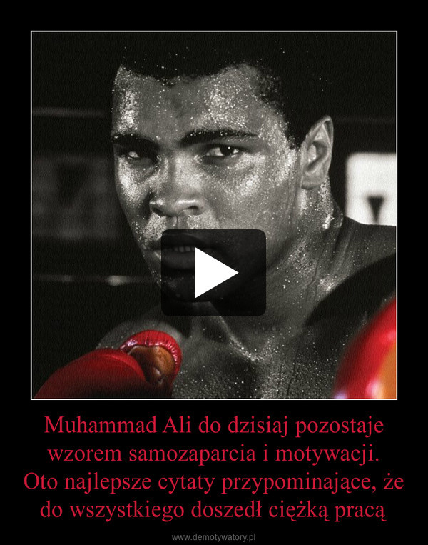 Muhammad Ali do dzisiaj pozostaje wzorem samozaparcia i motywacji.
Oto najlepsze cytaty przypominające, że do wszystkiego doszedł ciężką pracą