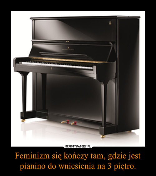 Feminizm się kończy tam, gdzie jest pianino do wniesienia na 3 piętro.