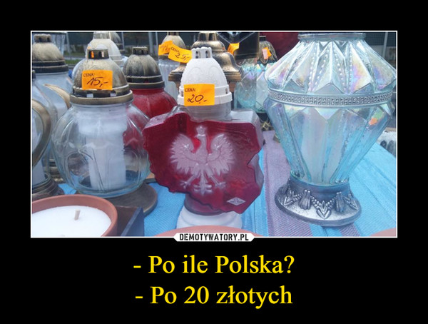- Po ile Polska?
- Po 20 złotych