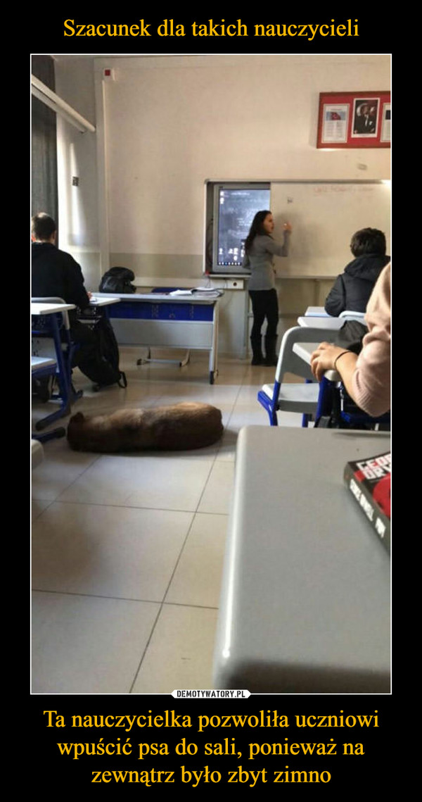 Ta nauczycielka pozwoliła uczniowi wpuścić psa do sali, ponieważ na zewnątrz było zbyt zimno –  