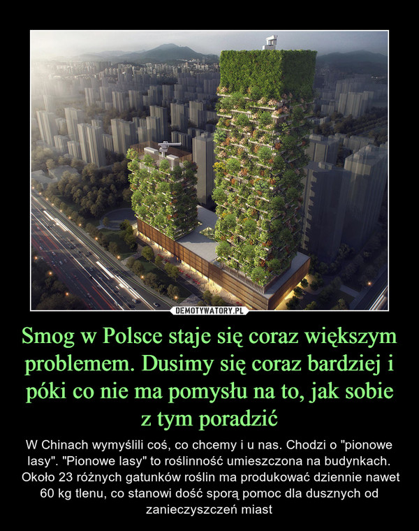 Smog w Polsce staje się coraz większym problemem. Dusimy się coraz bardziej i póki co nie ma pomysłu na to, jak sobie z tym poradzić – W Chinach wymyślili coś, co chcemy i u nas. Chodzi o "pionowe lasy". "Pionowe lasy" to roślinność umieszczona na budynkach. Około 23 różnych gatunków roślin ma produkować dziennie nawet 60 kg tlenu, co stanowi dość sporą pomoc dla dusznych od zanieczyszczeń miast 