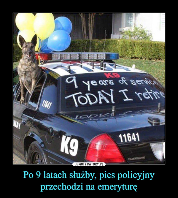 Po 9 latach służby, pies policyjny przechodzi na emeryturę –  