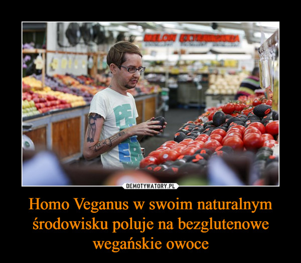 Homo Veganus w swoim naturalnym środowisku poluje na bezglutenowe wegańskie owoce –  