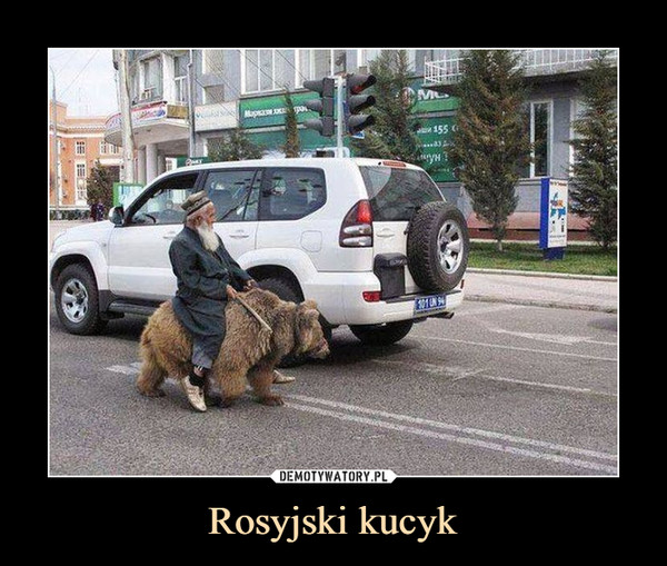 Rosyjski kucyk –  