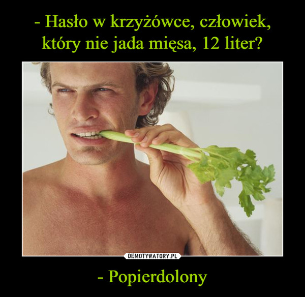 - Popierdolony –  