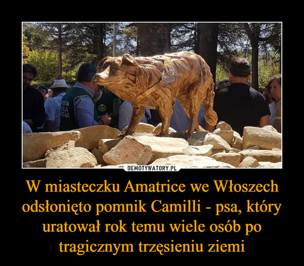W miasteczku Amatrice we Włoszech odsłonięto pomnik Camilli - psa, który uratował rok temu wiele osób po tragicznym trzęsieniu ziemi