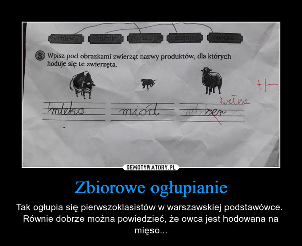 Zbiorowe ogłupianie – Tak ogłupia się pierwszoklasistów w warszawskiej podstawówce. Równie dobrze można powiedzieć, że owca jest hodowana na mięso... Wpisz pod obrazkami zwierząt nazwy produktów, dla których hoduje się te zwierzęta. 