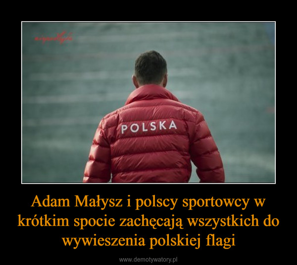 Adam Małysz i polscy sportowcy w krótkim spocie zachęcają wszystkich do wywieszenia polskiej flagi –  