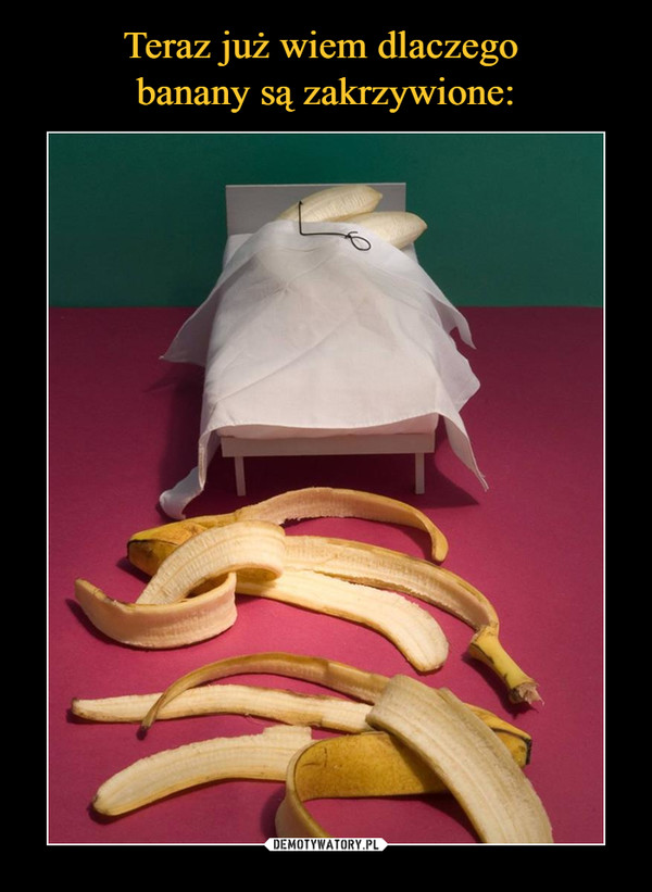 Teraz już wiem dlaczego 
banany są zakrzywione: