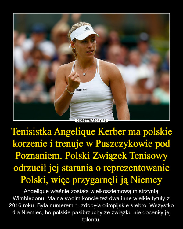 Tenisistka Angelique Kerber ma polskie korzenie i trenuje w Puszczykowie pod Poznaniem. Polski Związek Tenisowy odrzucił jej starania o reprezentowanie Polski, więc przygarnęli ją Niemcy – Angelique właśnie została wielkoszlemową mistrzynią Wimbledonu. Ma na swoim koncie też dwa inne wielkie tytuły z 2016 roku. Była numerem 1, zdobyła olimpijskie srebro. Wszystko dla Niemiec, bo polskie pasibrzuchy ze związku nie doceniły jej talentu. 