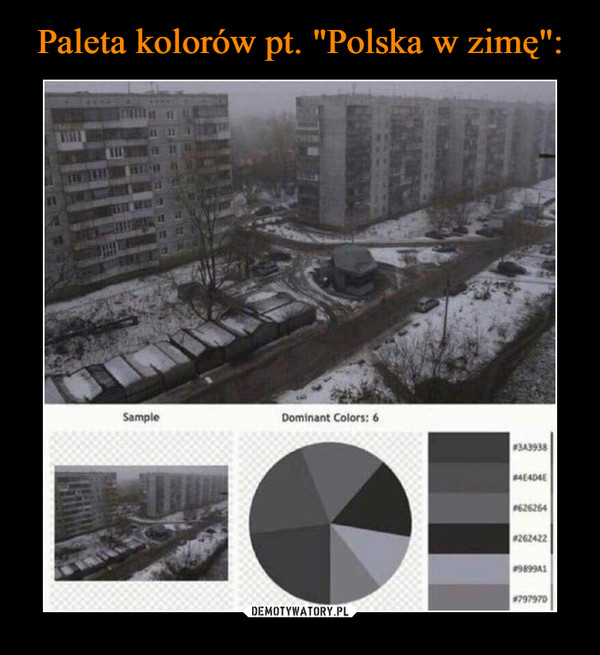 Paleta kolorów pt. "Polska w zimę":