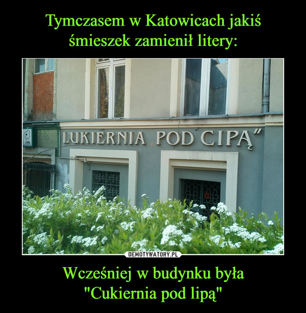 Tymczasem w Katowicach jakiś śmieszek zamienił litery: Wcześniej w budynku była
"Cukiernia pod lipą"