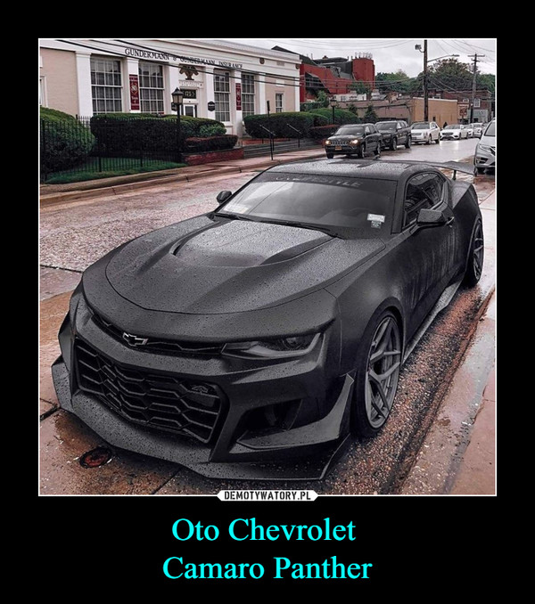 Oto Chevrolet Camaro Panther –  