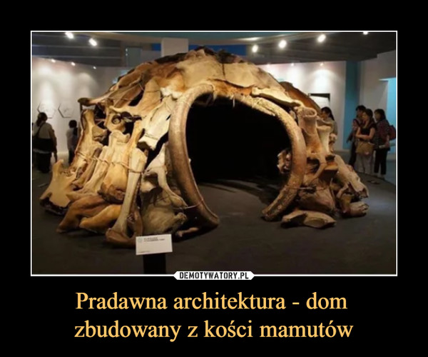 Pradawna architektura - dom zbudowany z kości mamutów –  