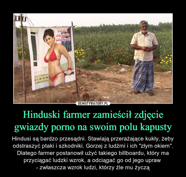 Hinduski farmer zamieścił zdjęcie gwiazdy porno na swoim polu kapusty