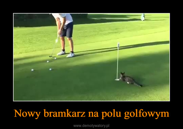 Nowy bramkarz na polu golfowym –  
