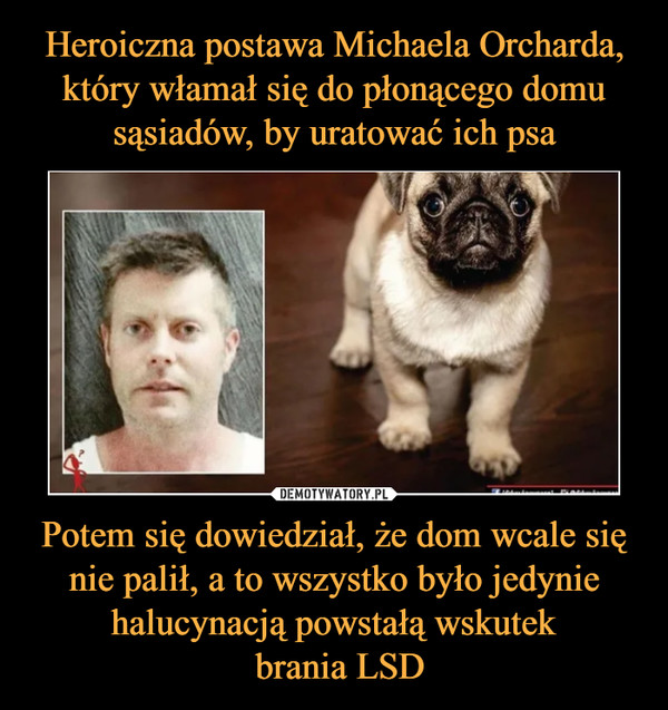 Heroiczna postawa Michaela Orcharda, który włamał się do płonącego domu sąsiadów, by uratować ich psa Potem się dowiedział, że dom wcale się nie palił, a to wszystko było jedynie halucynacją powstałą wskutek
 brania LSD