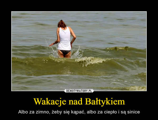 Wakacje nad Bałtykiem – Albo za zimno, żeby się kąpać, albo za ciepło i są sinice 