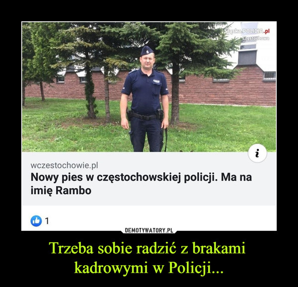 Trzeba sobie radzić z brakami kadrowymi w Policji... –  wczestochowie.pl Nowy pies w częstochowskiej policji. Ma na imię Rambo