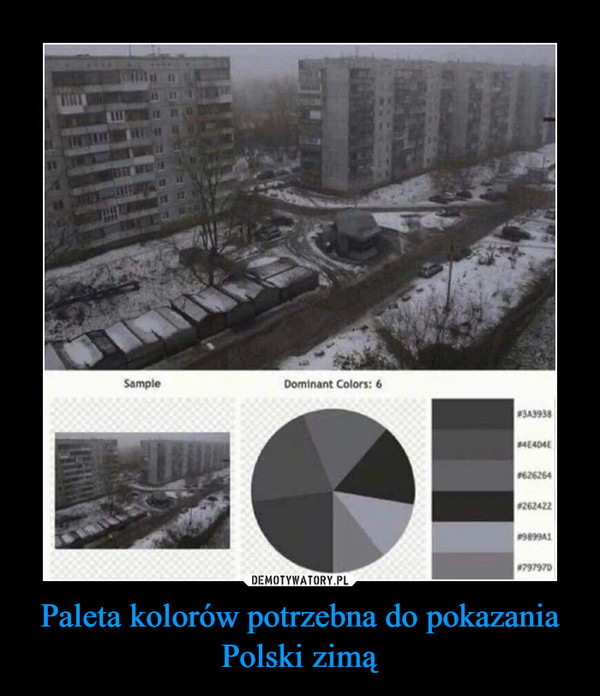 Paleta kolorów potrzebna do pokazania Polski zimą