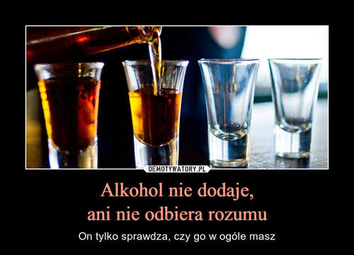 Alkohol nie dodaje,
ani nie odbiera rozumu