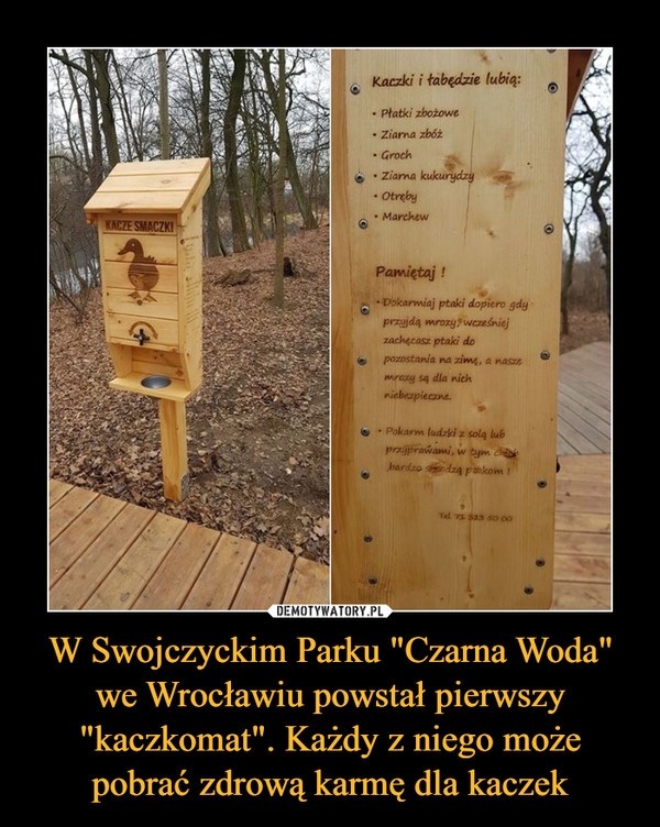 W Swojczyckim Parku "Czarna Woda" we Wrocławiu powstał pierwszy "kaczkomat". Każdy z niego może pobrać zdrową karmę dla kaczek –  