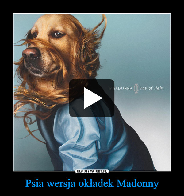 Psia wersja okładek Madonny