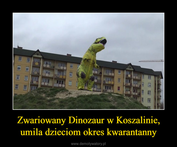 Zwariowany Dinozaur w Koszalinie, umila dzieciom okres kwarantanny –  
