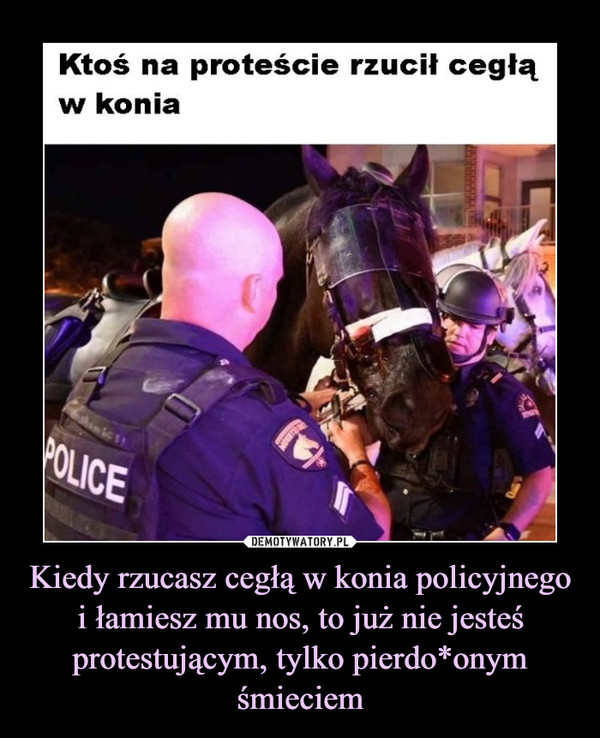 Kiedy rzucasz cegłą w konia policyjnego i łamiesz mu nos, to już nie jesteś protestującym, tylko pierdo*onym śmieciem –  Ktoś na proteście rzucił cegłąw konia