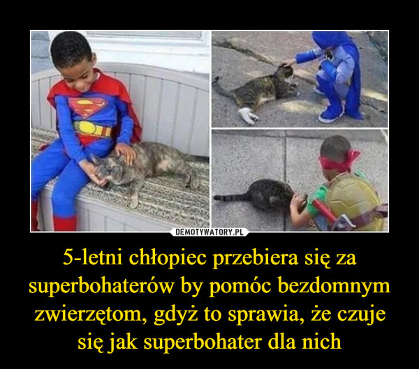5-letni chłopiec przebiera się za superbohaterów by pomóc bezdomnym zwierzętom, gdyż to sprawia, że czuje się jak superbohater dla nich –  