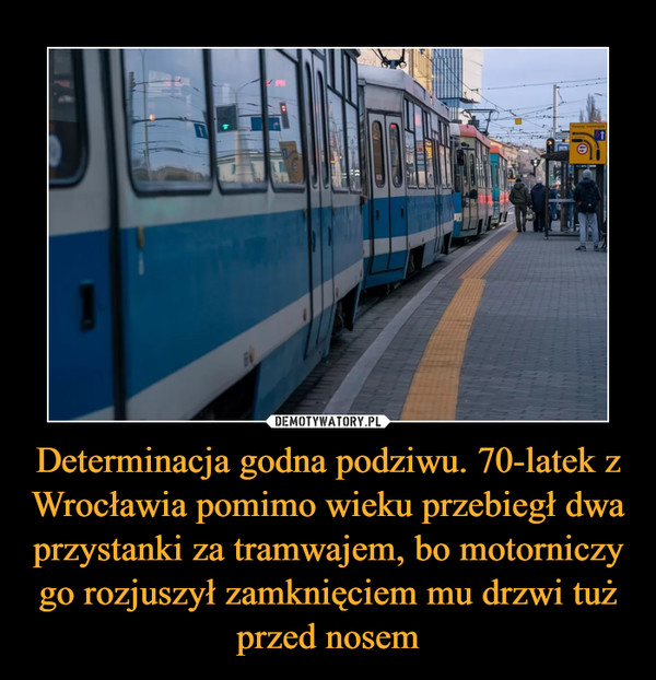 Determinacja godna podziwu. 70-latek z Wrocławia pomimo wieku przebiegł dwa przystanki za tramwajem, bo motorniczy go rozjuszył zamknięciem mu drzwi tuż przed nosem –  