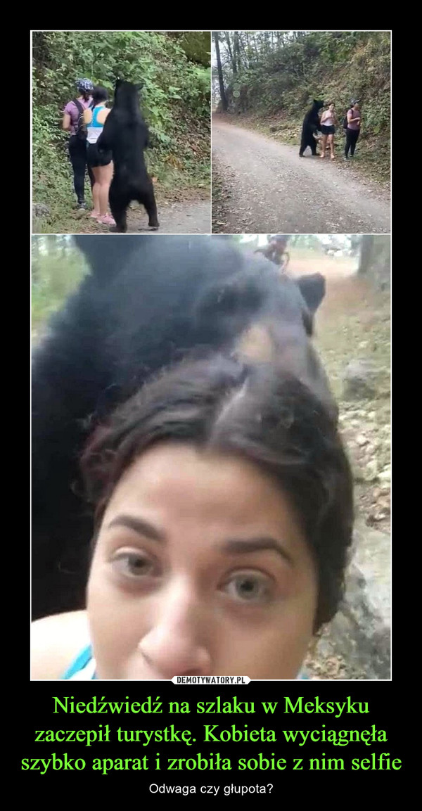 Niedźwiedź na szlaku w Meksyku zaczepił turystkę. Kobieta wyciągnęła szybko aparat i zrobiła sobie z nim selfie – Odwaga czy głupota? 